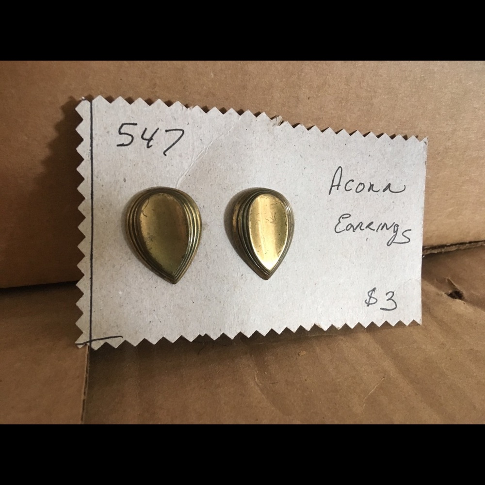 Pierced Acorn Shaped Earrings